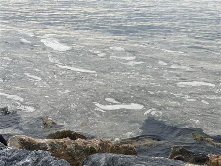 Pendik ve Kartal sahilinde tedirgin eden görüntü İlk kez böyle bir manzara ile karşılaştık