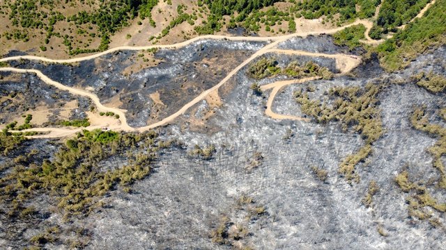 Çanakkale'de çıkan orman yangınları kontrol altına alındı - Resim: 0